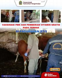 VAKSINASI PMK DAN PEMBERIAN VITAMIN GRATIS PADA HEWAN TERNAK DI PADUKUHAN JETIS